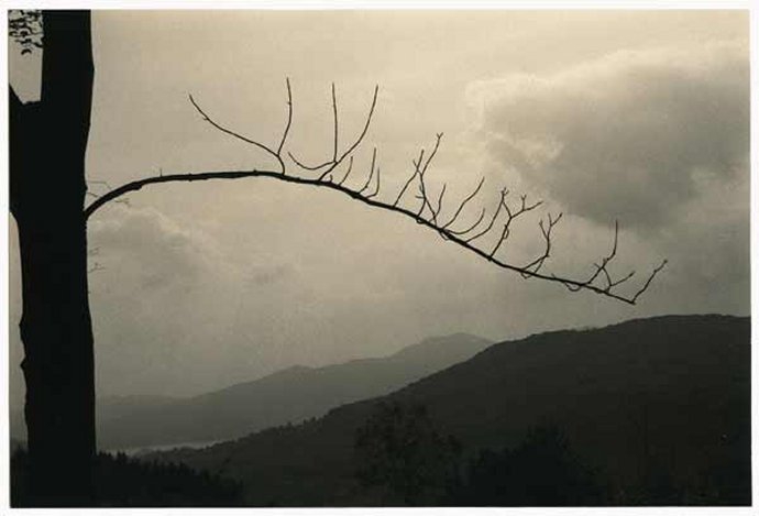 +++325 Masao Yamamoto série Kawa  2008  Yamanashi  Japon.jpg