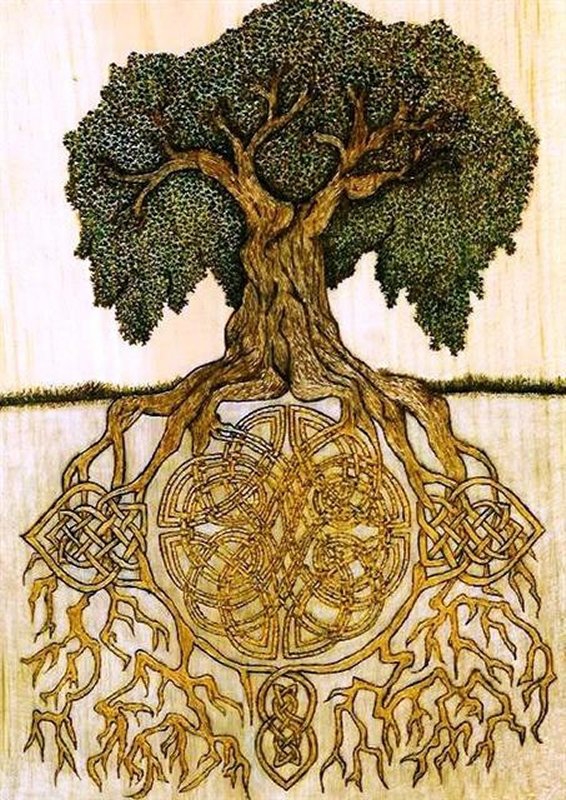 +1653 art celtique  arbre de vie.jpg