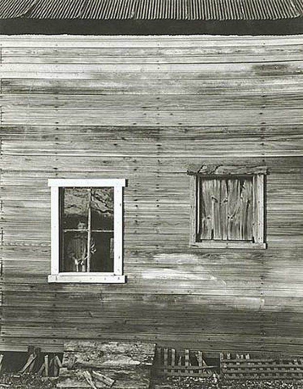 100 Welpot J 1955 Girl in Window Nashville.jpg