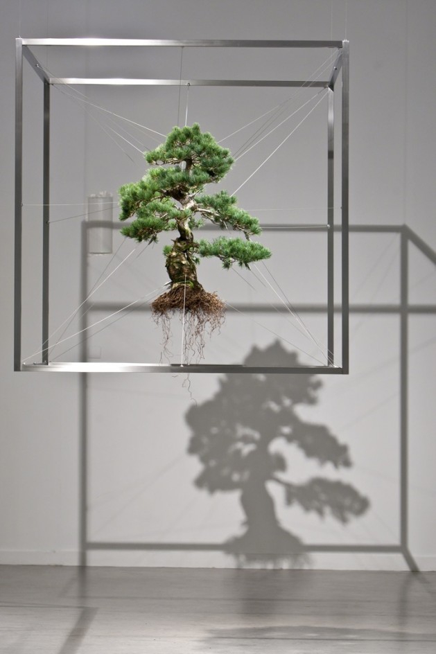 0000 490 Makoto Azuma bonsai-tree-sculpture.jpg