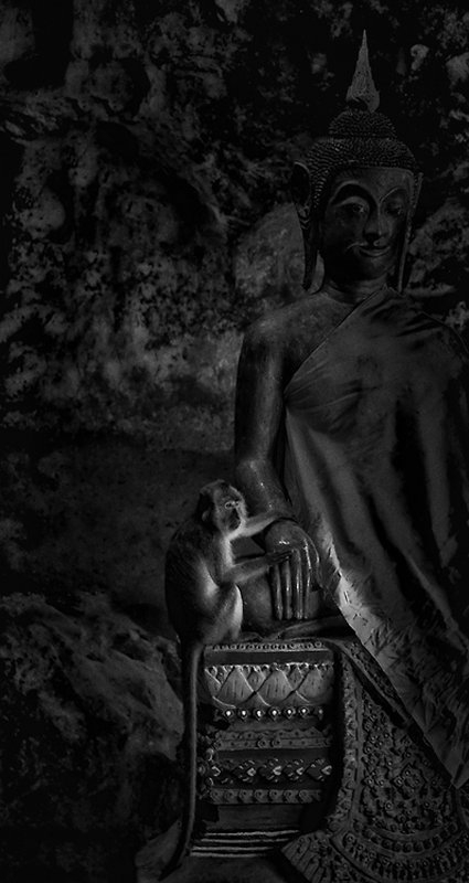 264 Ryan Learoy A long tailed macaque holds a Buddha’s hand, temple caves of  Wat Suwan Kuha.jpg