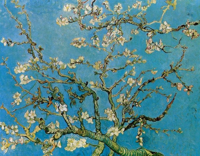 02 Van Gogh 1890 amandier en fleurs Amsterdam Pays Bas.jpg