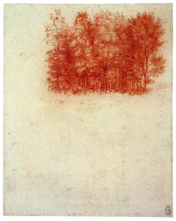 0000 460 Leonardo da Vinci A Copse of Trees, 1508.jpg