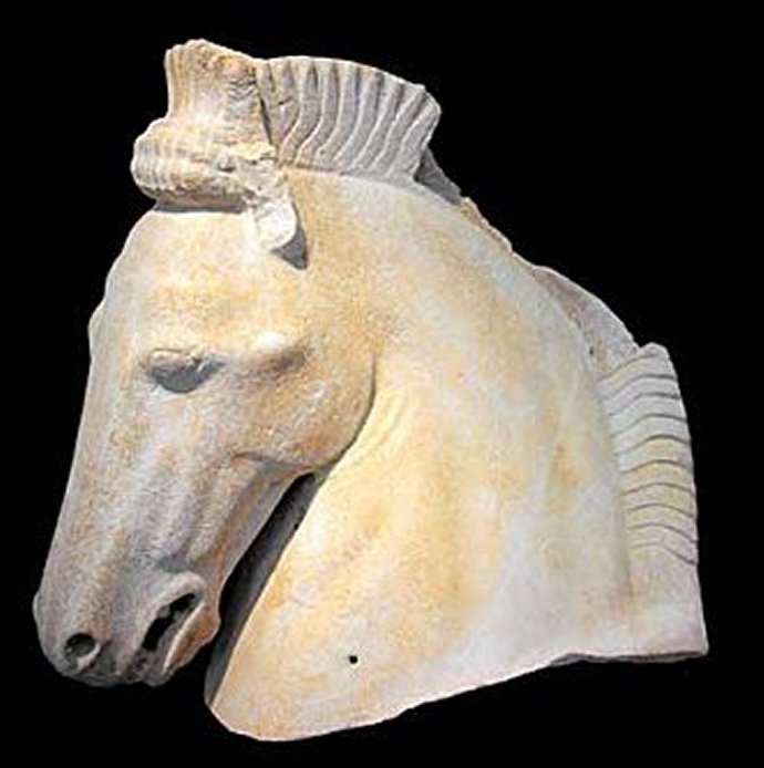 513 Tête de cheval - Sanctuaire d'Héraclès - Thassos, 470-460 av. jc (2).jpg