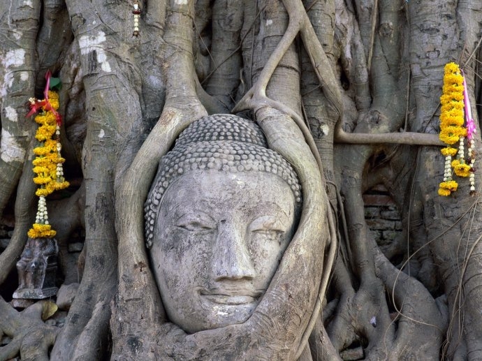 170b Steve Vidler Buddha-Face-Wat-Mahathat-Ayutthaya-Thailand.jpg